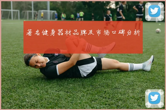 著名健身器材品牌及市场口碑分析