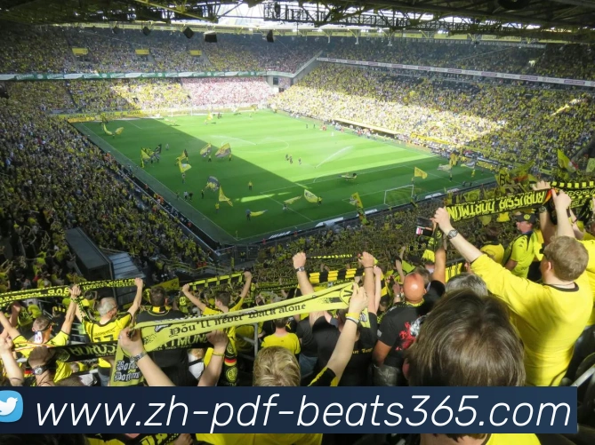 多媒体互动体验